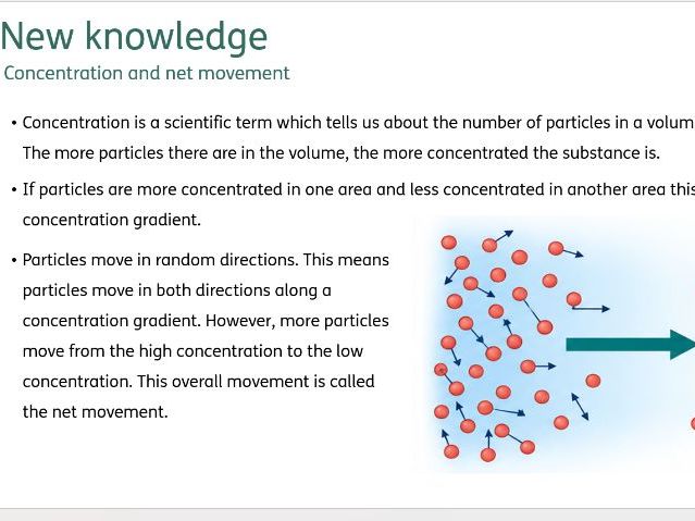 Lesson Biology KS3 Activate 1.4 Movement of substances