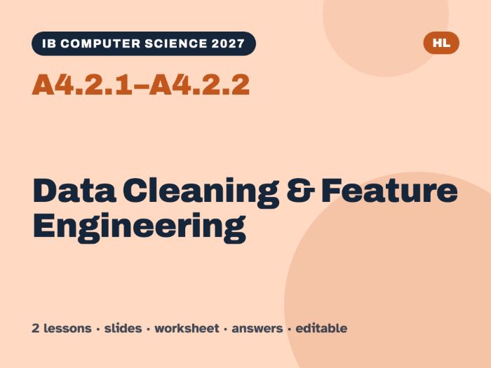 IB Computer Science 2027: A4.2.1–A4.2.2 Data Cleaning & Feature Engineering – 2 Lessons + Worksheets