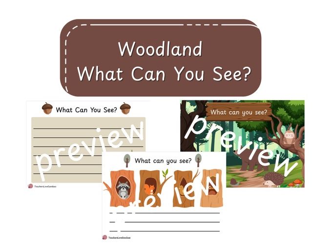 What Can You See? Woodland