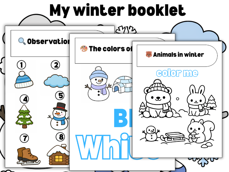 Winter Activity Book