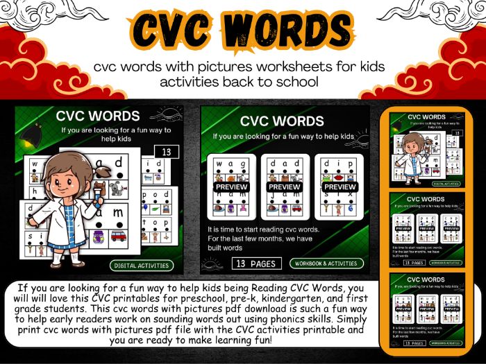 CVC words with pictures Worksheet