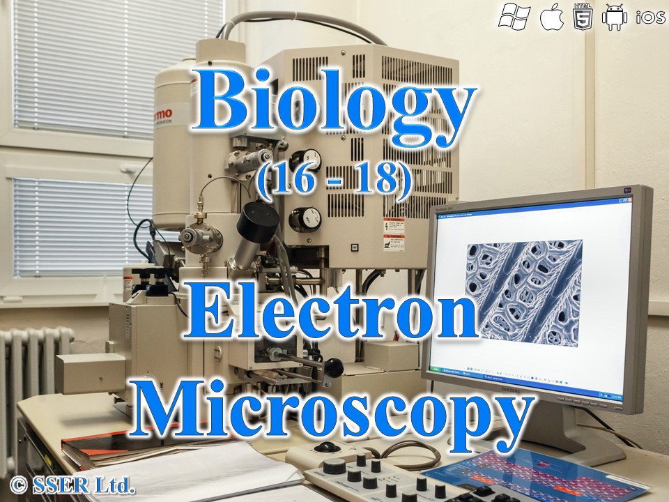 BioA_3.2.1.3 Studying Cells 3 - Electron Microscopy
