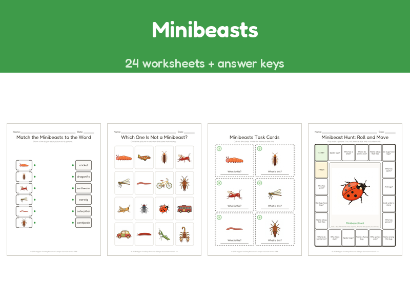 Minibeasts | 24 No-Prep Worksheets + Answer Keys | Ages 5-7