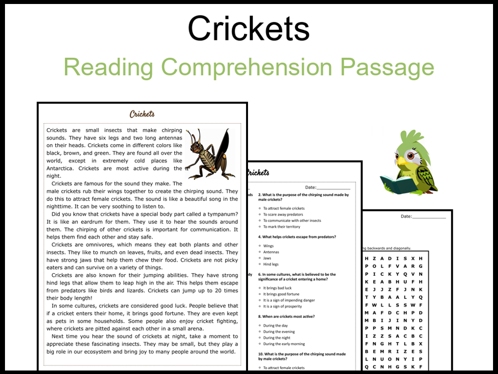 Crickets Reading Comprehension and Word Search Teaching Resources