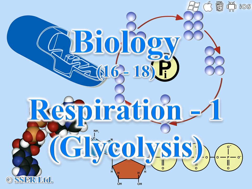 BioA_3.5.2 Respiration 1 - Glycolysis