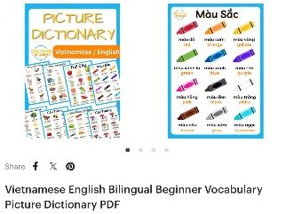 Vietnamese English Bilingual Beginner Vocabulary Picture Dictionary PDF