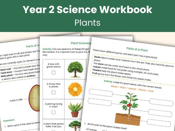 Year 2 Science Plants Workbook | 18 Printable Worksheets & Activities | Educational Learning