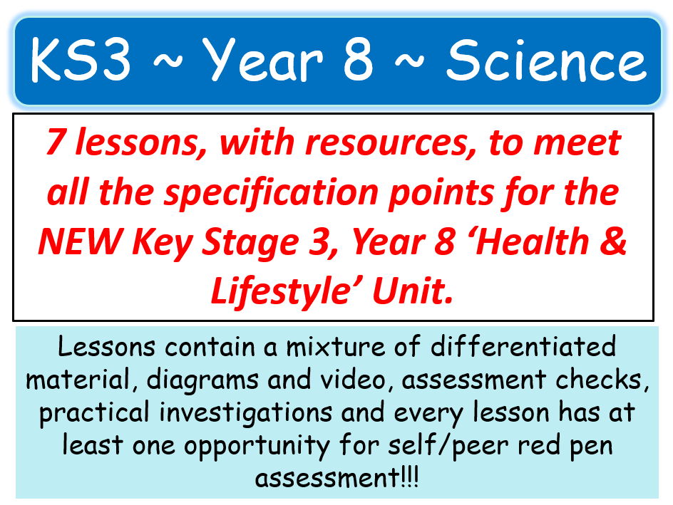 NEW KS3 ~ Year 8 ~ Health & Lifestyle