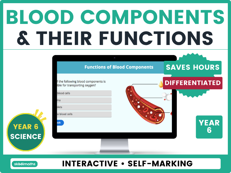 Year 6 Blood Components & Functions | Interactive Science Lesson
