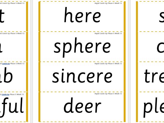 Rapid Catch Up Phase 5 Week 13 (Supports Little Wandle)
