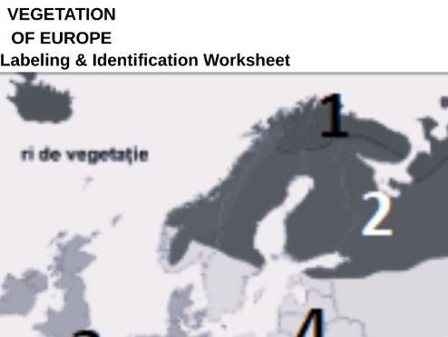 European Vegetation Zones – Map Worksheet + Answer Key