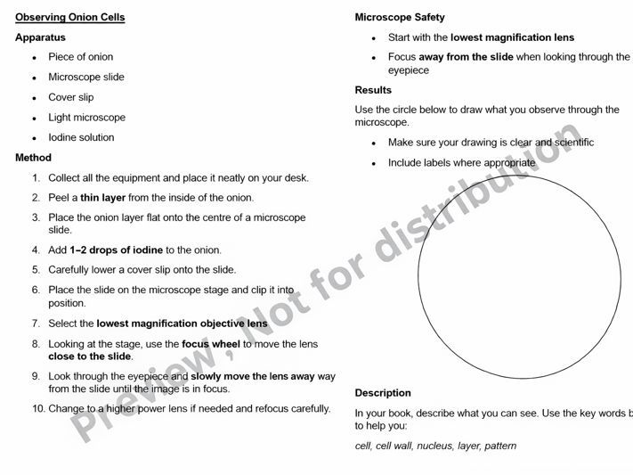 Observing Onion Cells Worksheet