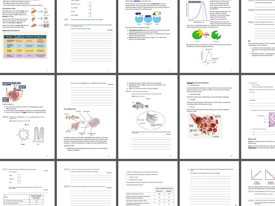 GCSE separate science organisation biology mastery booklet revision practise paper 1