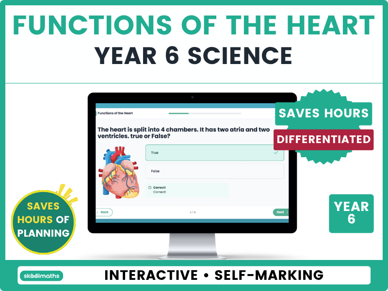 Year 6 Functions of the Heart | Interactive Circulatory System Lesson