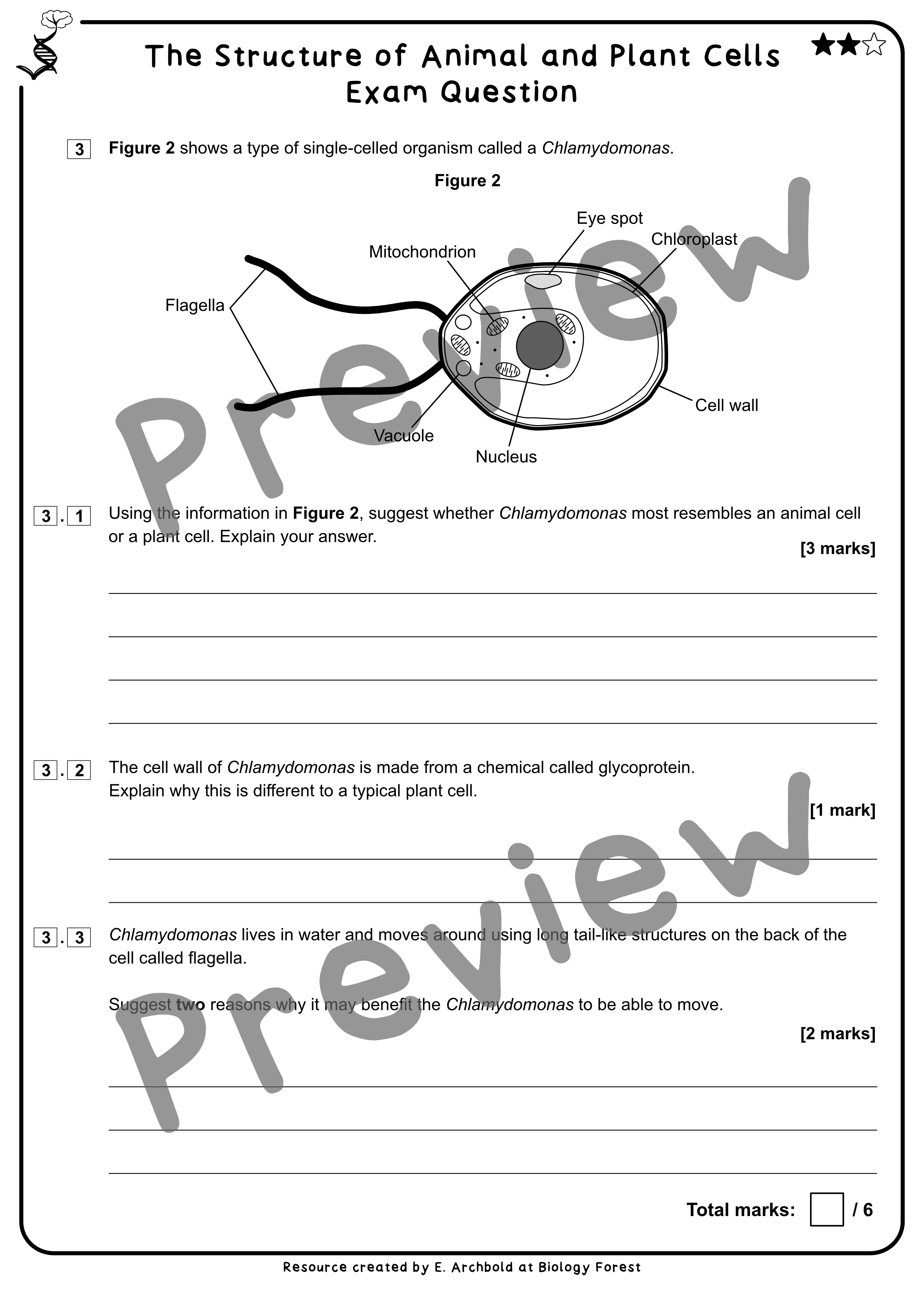Animal and Plant Cell Structure | GCSE Biology | Teaching Resources