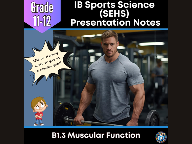 IB SEHS B1.3: Muscular Function Teaching Notes & Revision Guide 2026