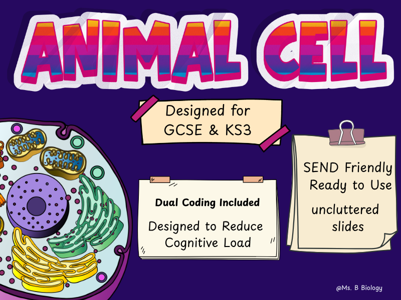 GCSE Biology Animal Cell Lesson | Label Structure & Functions | SEND Friendly, Dual Coding, AFL