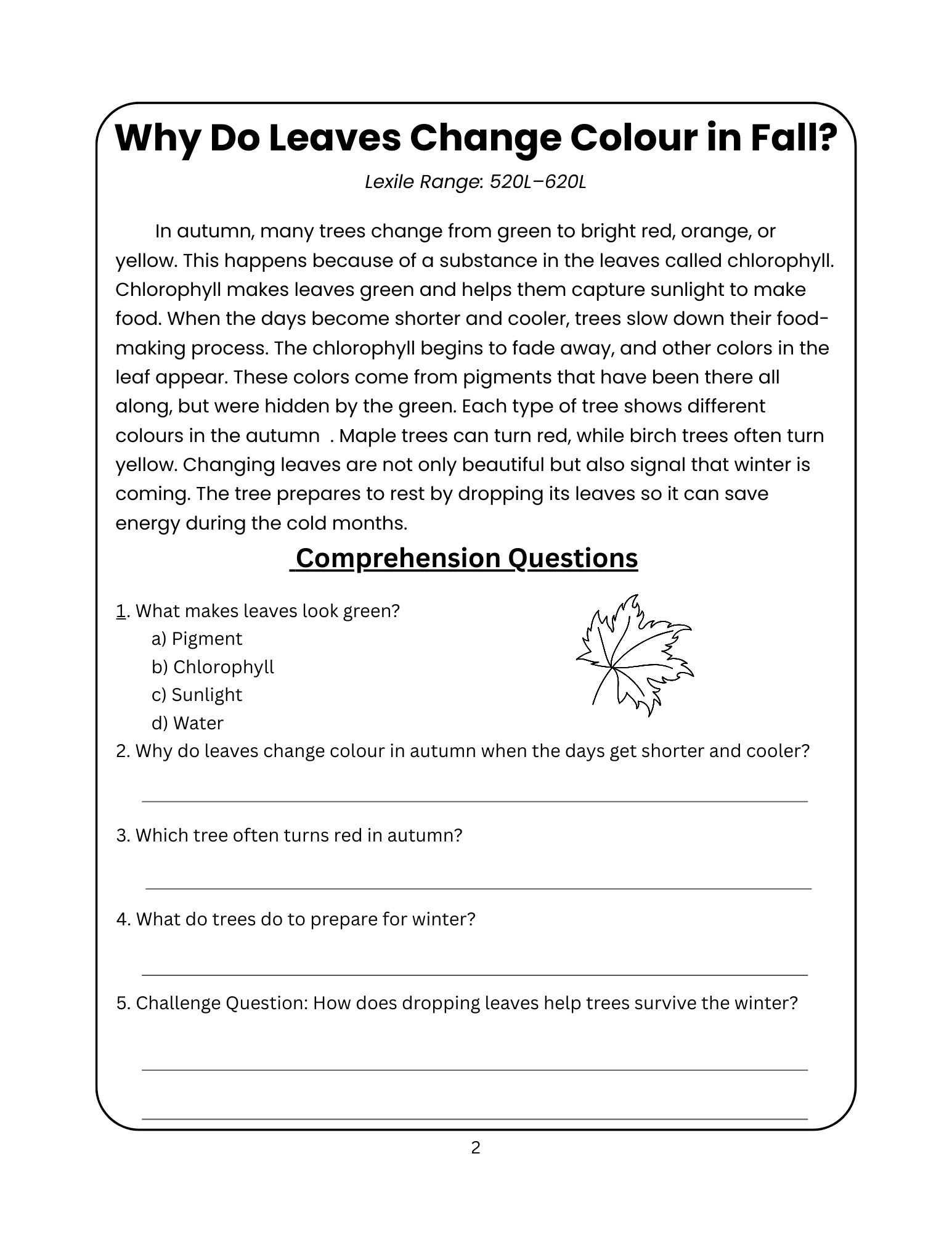 KS2 Autumn Reading Comprehension Pack Fiction Nonfiction Passages KS2 Autumn Reading Comprehension Pack Fiction Nonfiction Passages