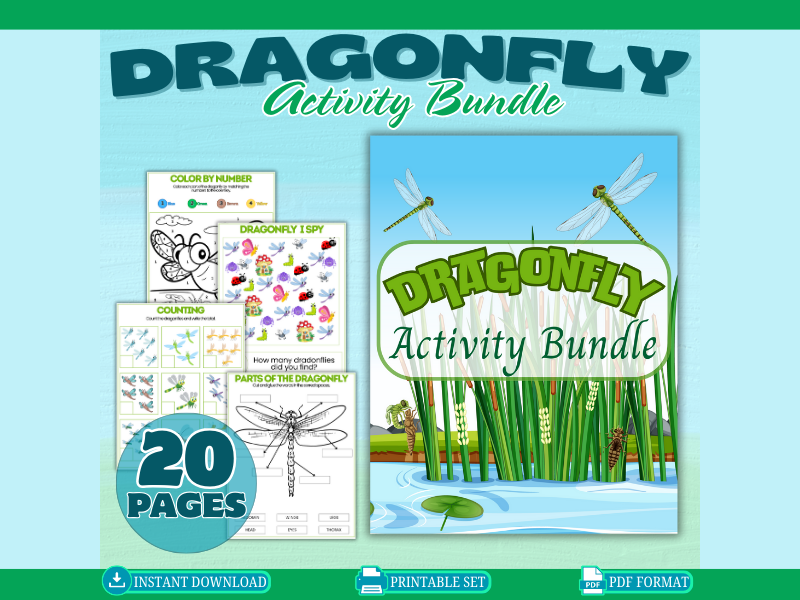 Dragonfly Activity Bundle-Connect the Dots, Matching, Counting, Habitat and much more.