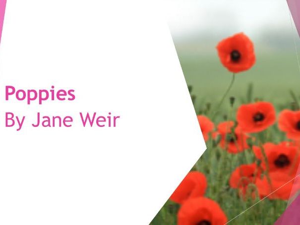 AQA English Literature - Power and Conflict Poetry - Poppies