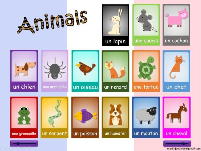 french-animals-teaching-resources