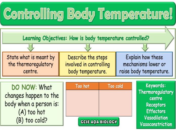 Controlling Body Temperature AQA GCSE (9-1) Biology