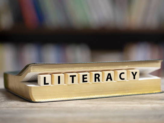 L6 Lit Comm/Literacy Bundle