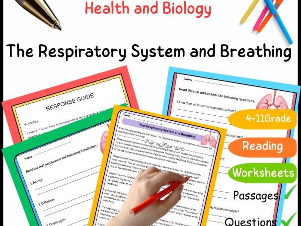 Reading Comprehension Worksheet: The Respiratory System and Breathing