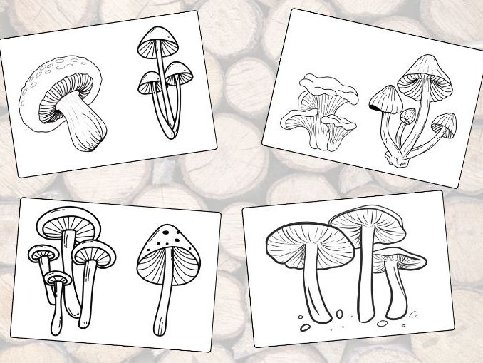 FREE Mushroom Colouring Sheets
