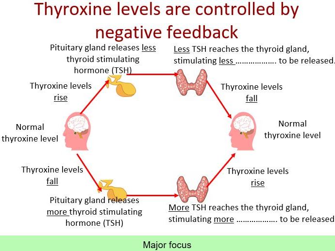 AQA Combined Science Biology Paper 2 Teaching Resources