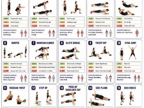 Differentiated Circuit Training/Static/Dynamic Stretch Cards + Create your circuit worksheet