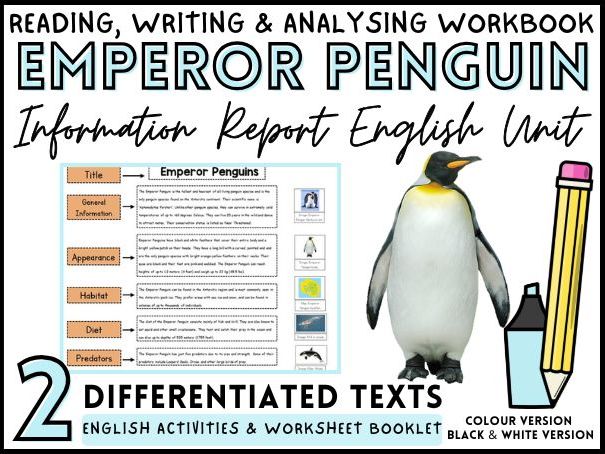 Emperor Penguin Information Texts, Report Paragraph Writing & Reading Analysis
