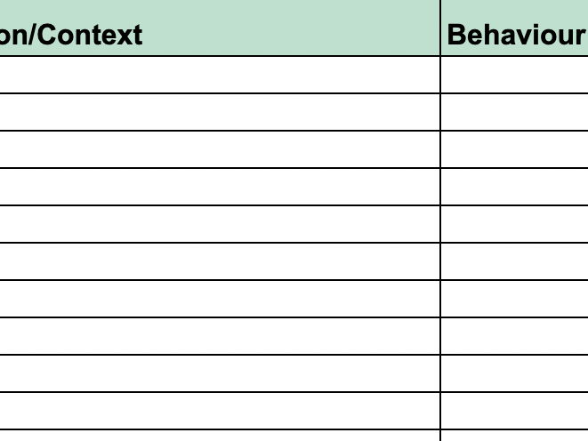 Behaviour Log Template and Guidance