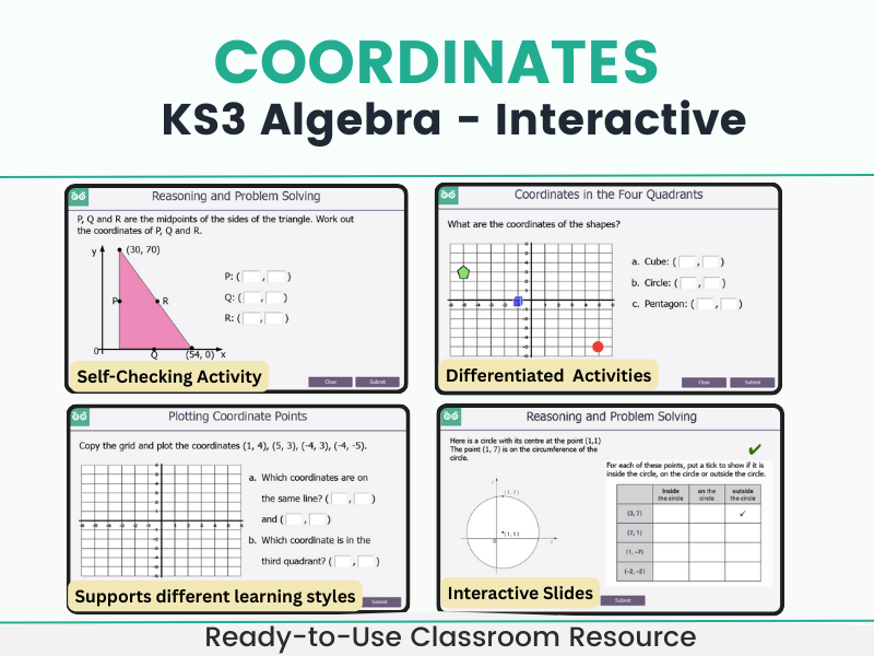 Coordinates - KS3 Interactive Digital Maths Lesson and Activities