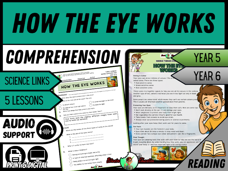 Seeing Things Clearly: How the Eye Works | Reading Comprehension | Year 5/6