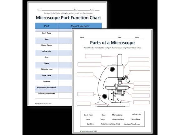 Parts of a Microscope Labeling & Functions Worksheet - Science + Word Search!