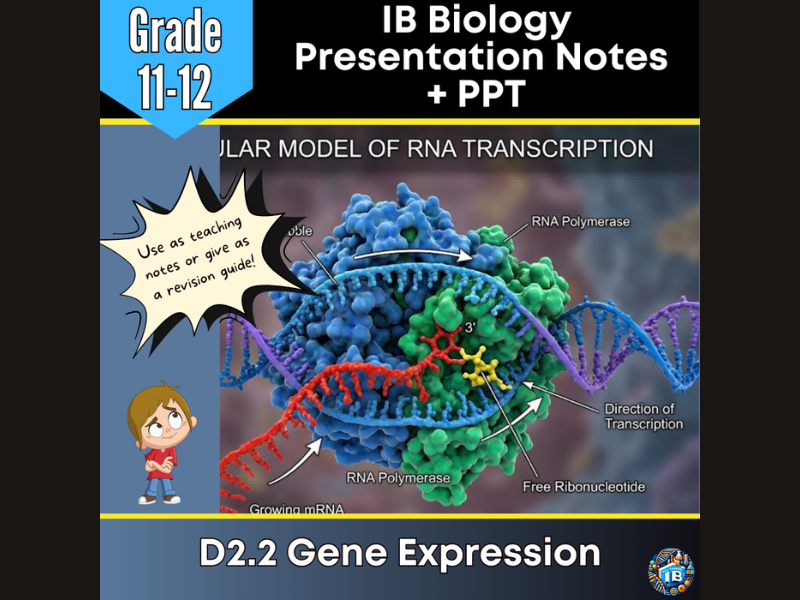 IB DP Biology D2.2 Gene Expression Teaching Notes & PowerPoint 2026