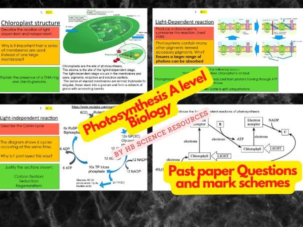 Photosynthesis A level Biology