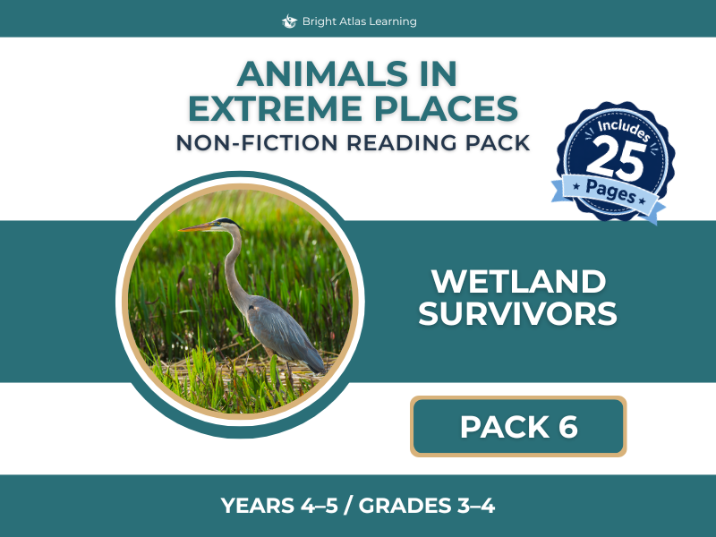 Wetland Animals Pack | KS2 | Y4–5
