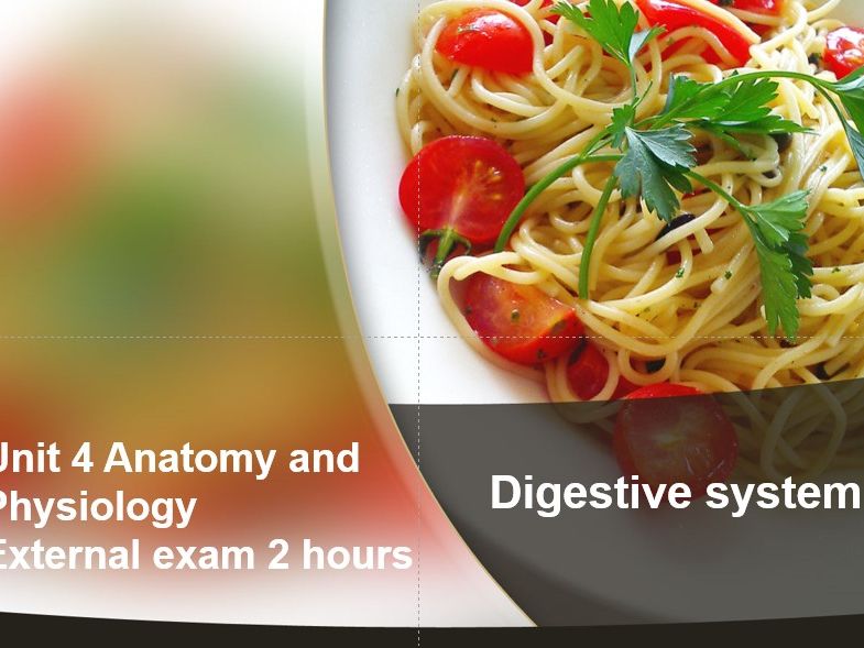 Cambridge technical Health and social care EXAM Unit 4 Anatomy & Physiology Teaching Resources