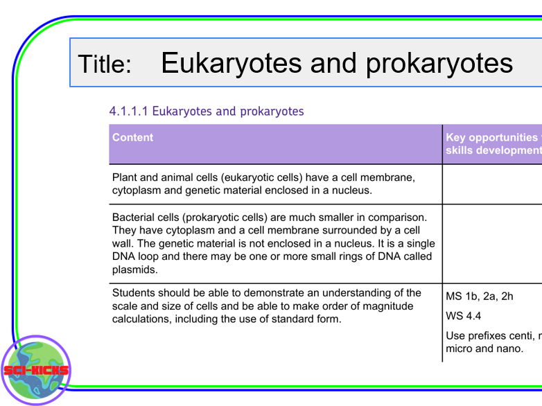 Eukaryote / Prokaryote retrieval practice