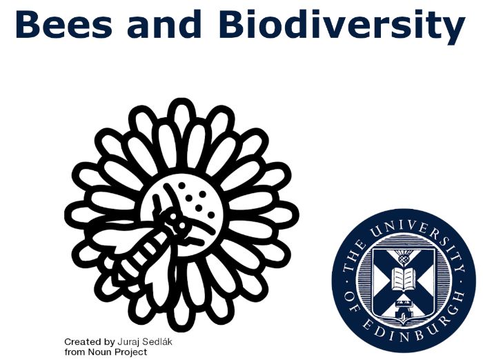 Bees and Biodiversity (Multidisciplinary Learning)