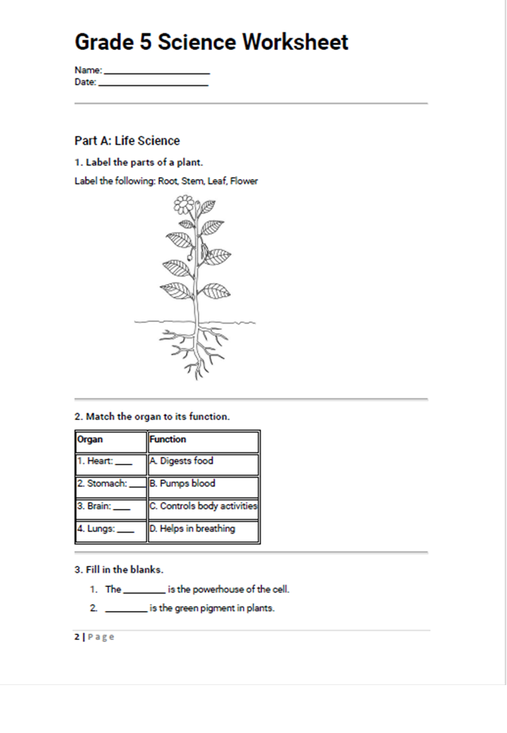 pdf, 304.08 KB