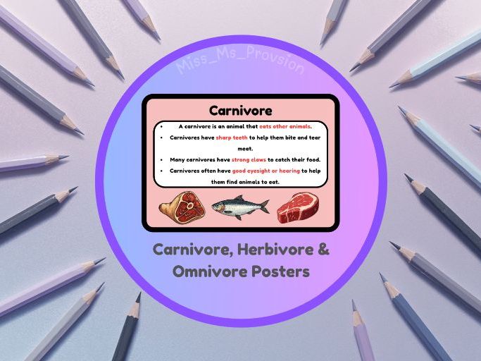 Herbivore, Carnivore & Omnivore Posters