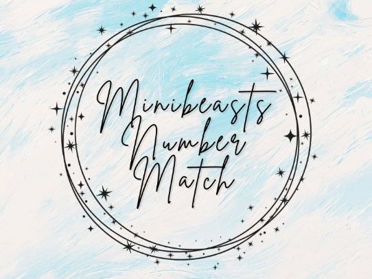 Minibeasts - Number Match