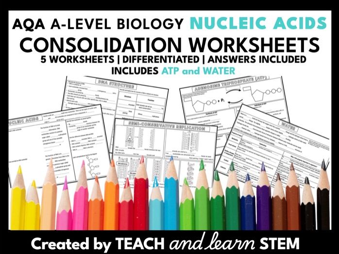 Nucleic Acids Water ATP Summary Worksheets AQA A-level Biology