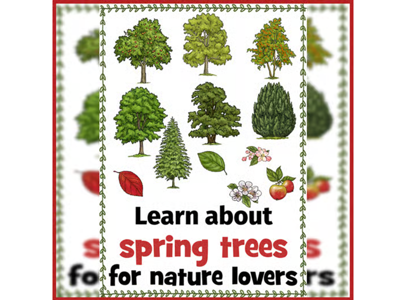 Spring Trees Reading Comprehension Passages