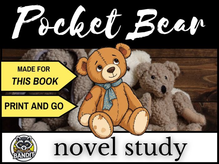 POCKET BEAR  by Katherine Applegate NOVEL STUDY
