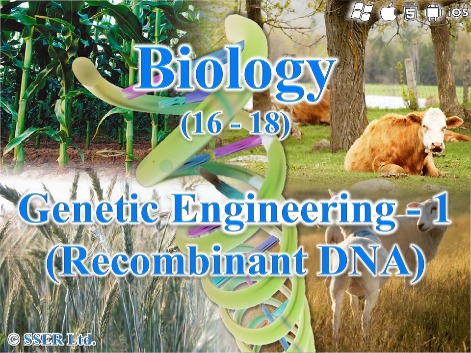 BIOA_3.8.4.1 Genetic Engineering 1 - Recombinant DNA