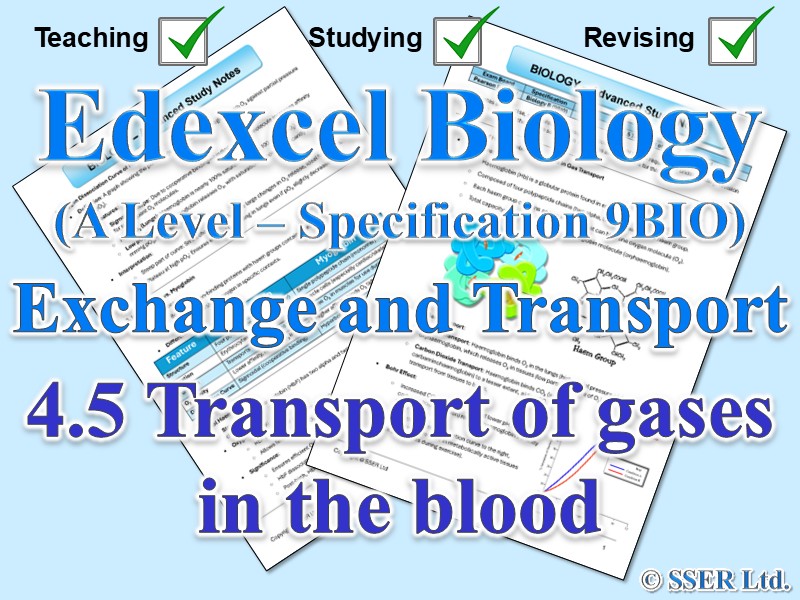BIOA_EDX Topic Notes: 4.5 Transport of gases in the blood